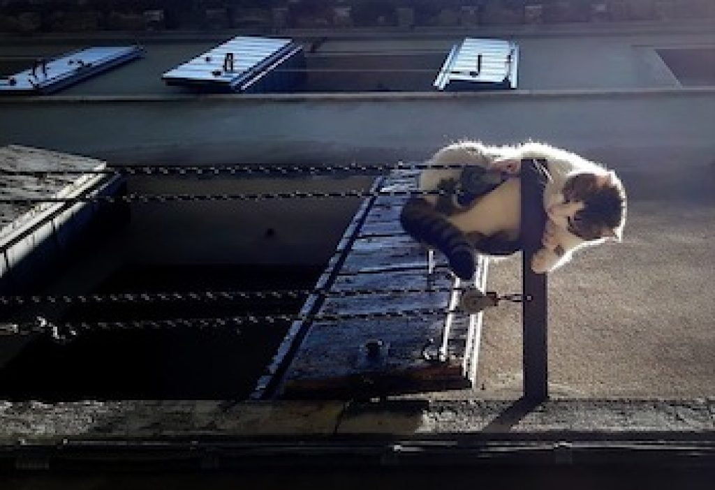 Corde à linge avec tendeurs